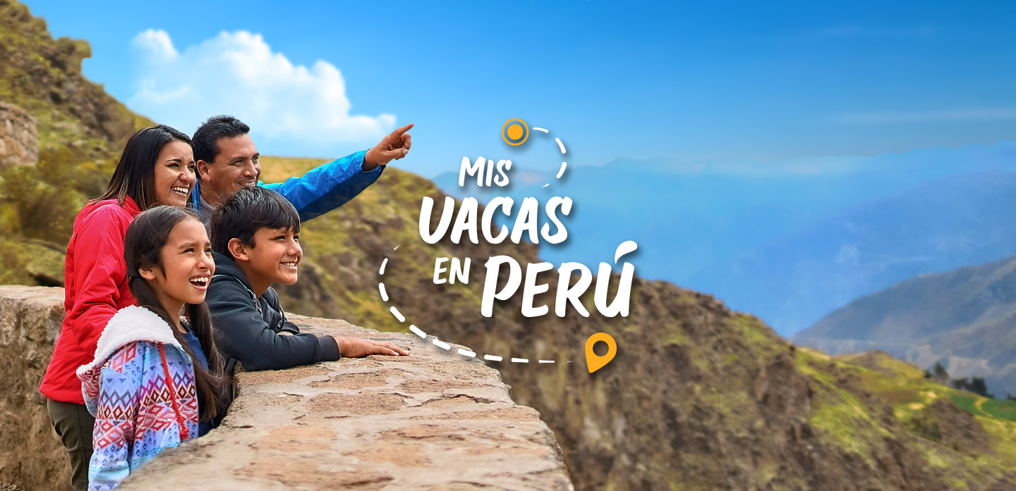 Mis vacas en Perú