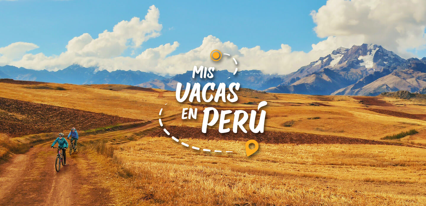 Mis vacas en Perú
