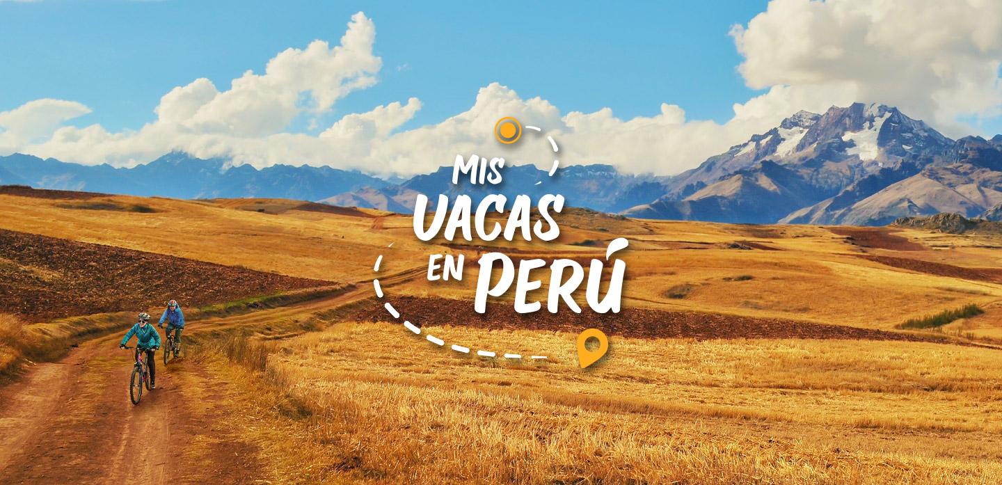 Mis vacas en Perú