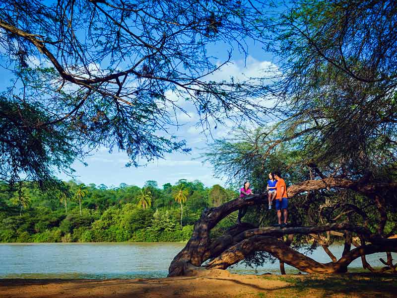 Santuario Nacional Lagunas de Mejía