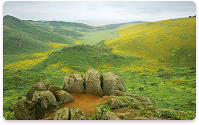 Lomas de Lachay