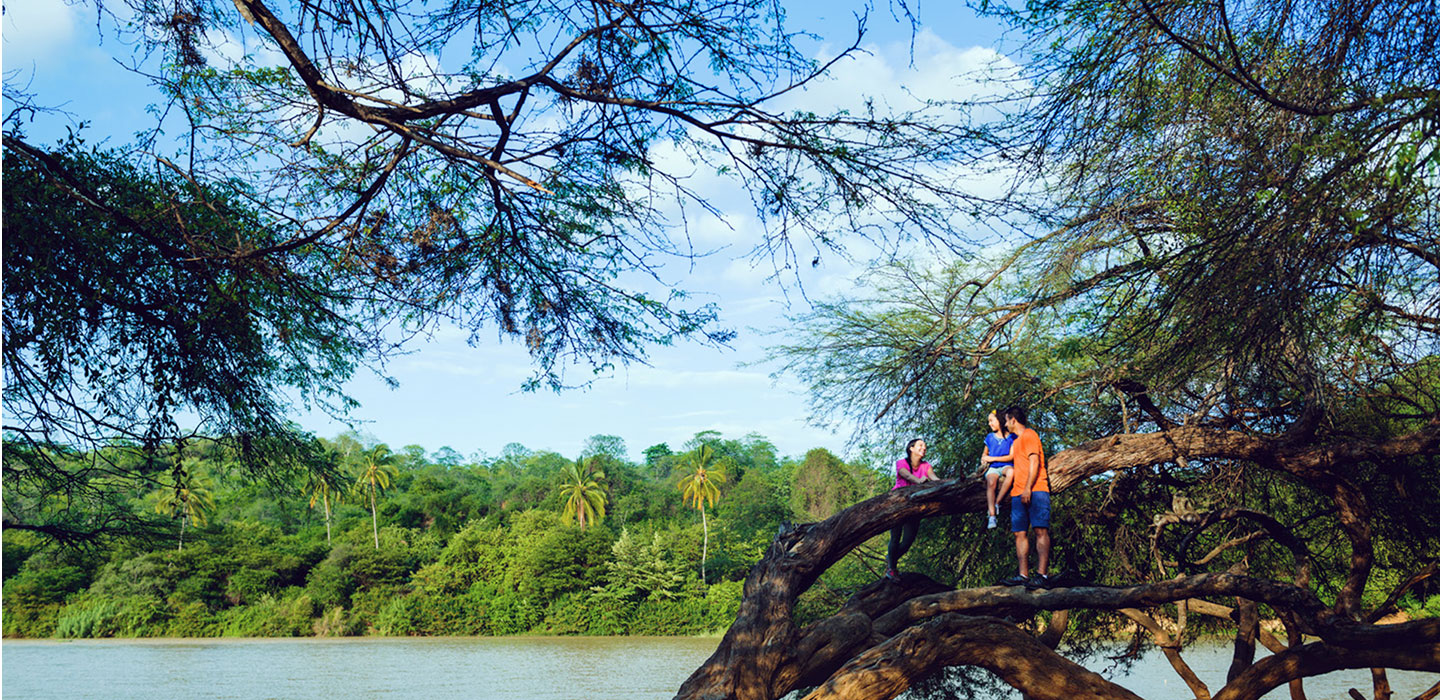 Paisaje de Piura