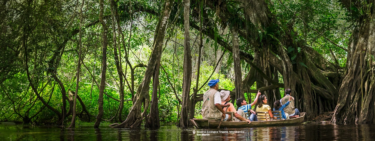 ¡Que sigan los viajes!