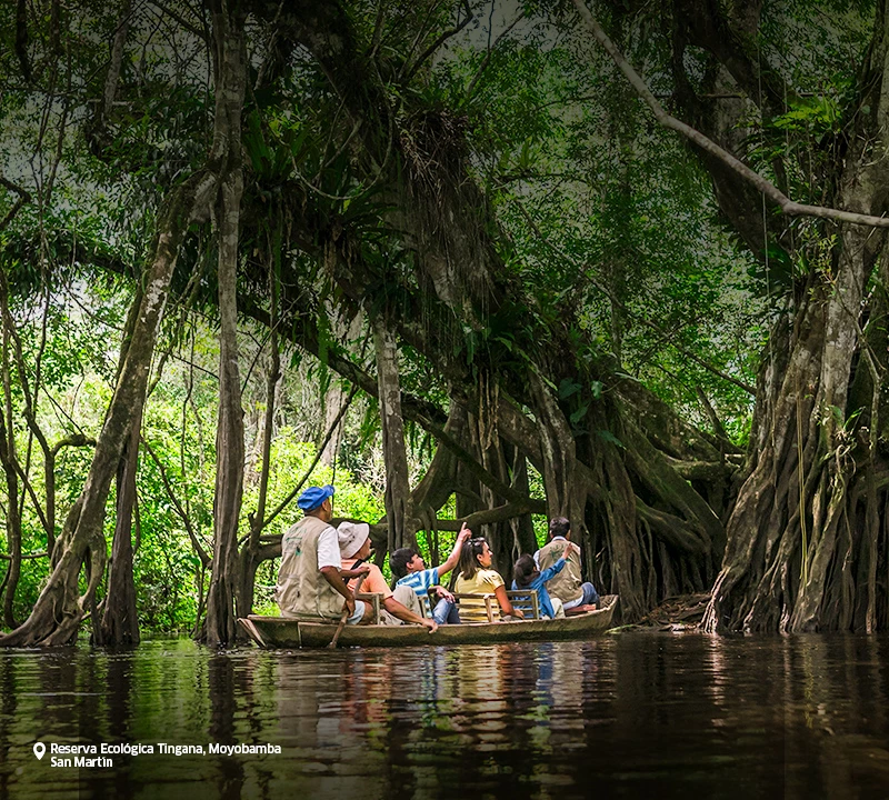 ¡Que sigan los viajes!