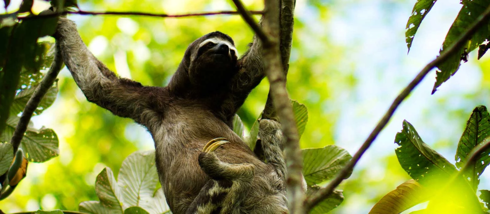 ¡Promociona tu negocio en Y Tú Qué Planes!