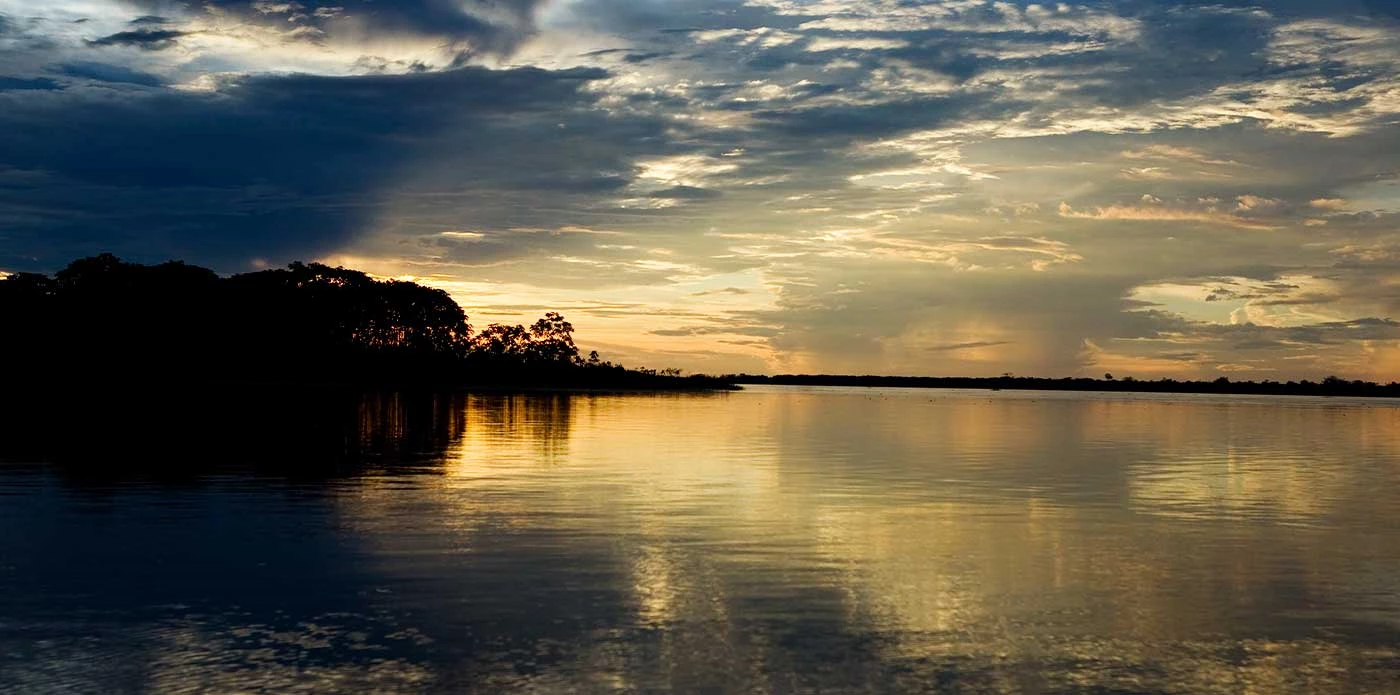 5 datos indispensables sobre la Reserva Nacional Pacaya Samiria