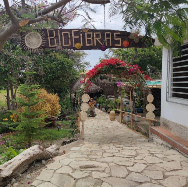 Biofibras