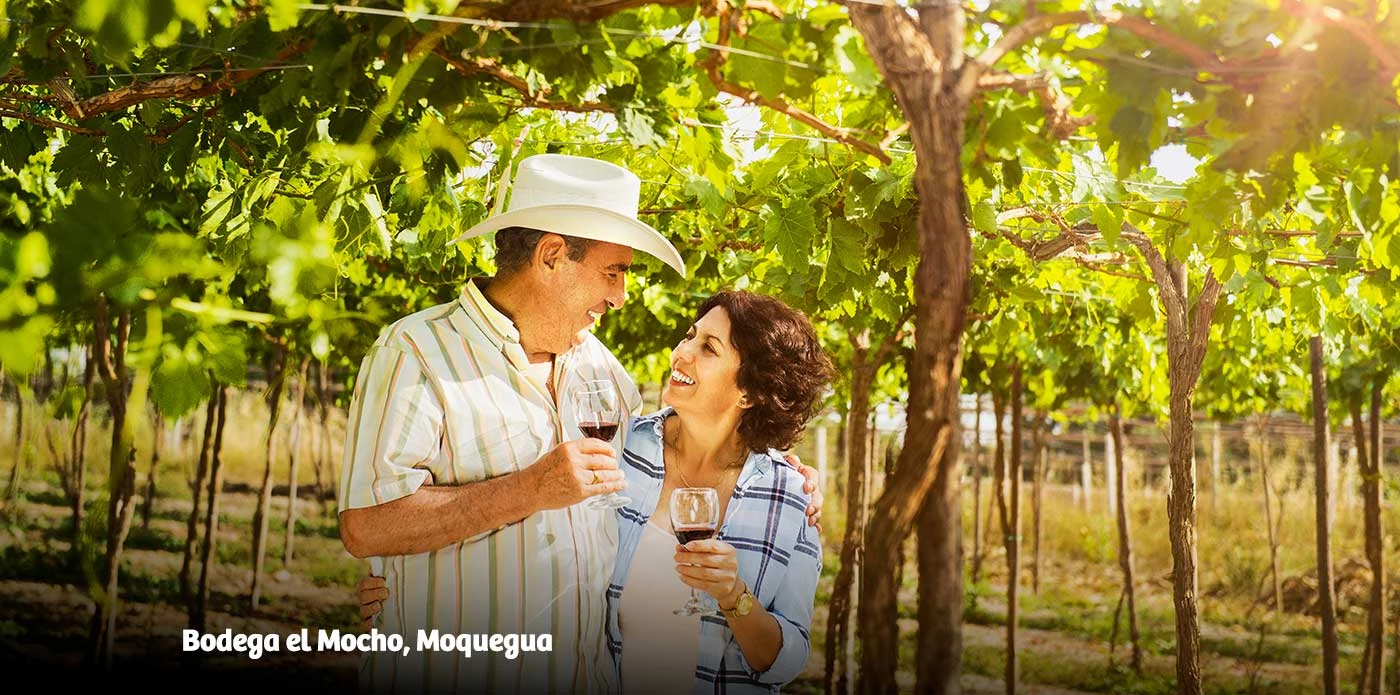 https://www.ytuqueplanes.com/imagenes/Visita Moquegua y déjate envolver por su rica tradición vitivinícola