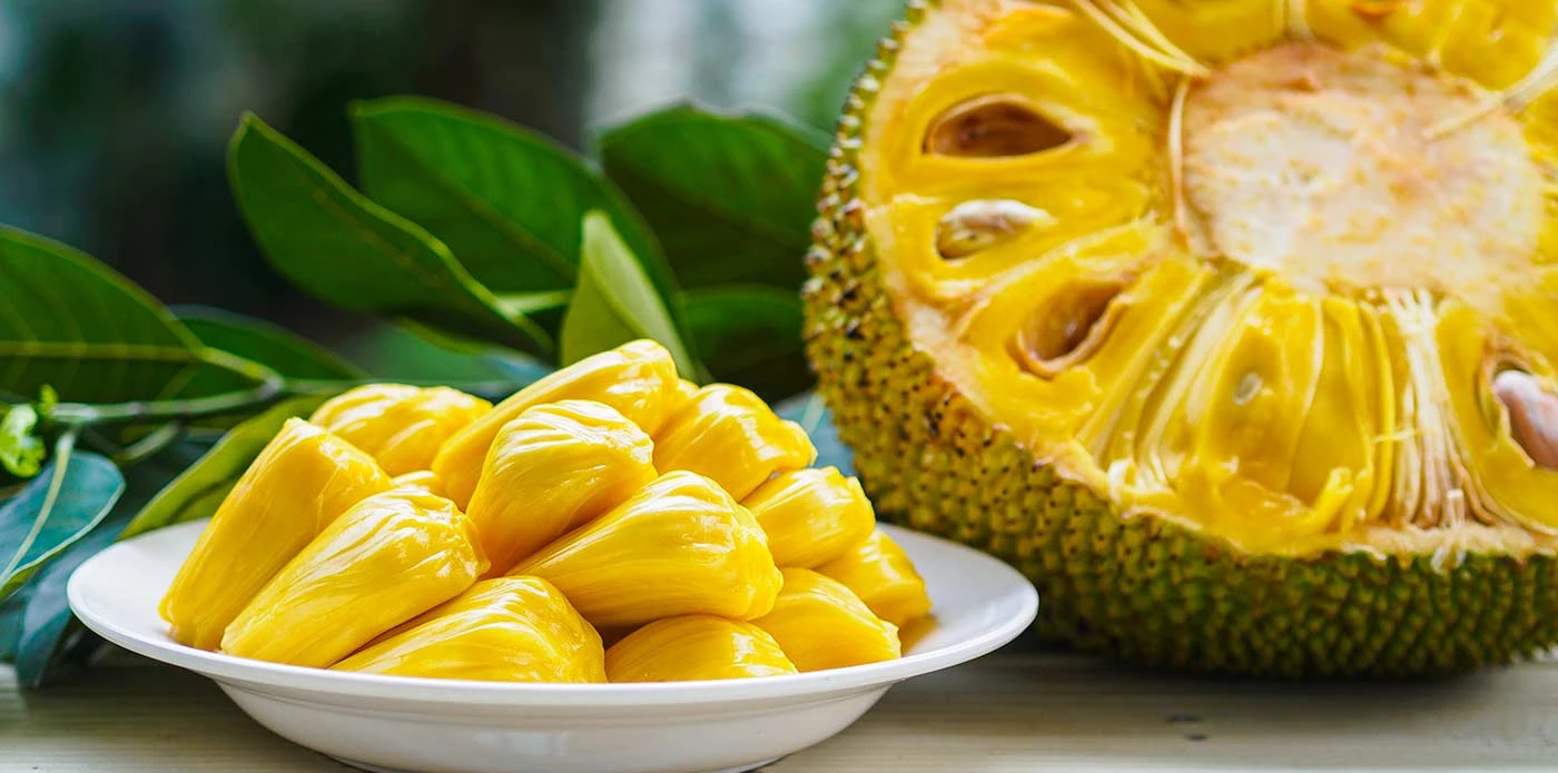 https://www.ytuqueplanes.com/imagenes/Esta es la fruta más grande del mundo: Jackfruit, la joya tropical que encontramos en Satipo