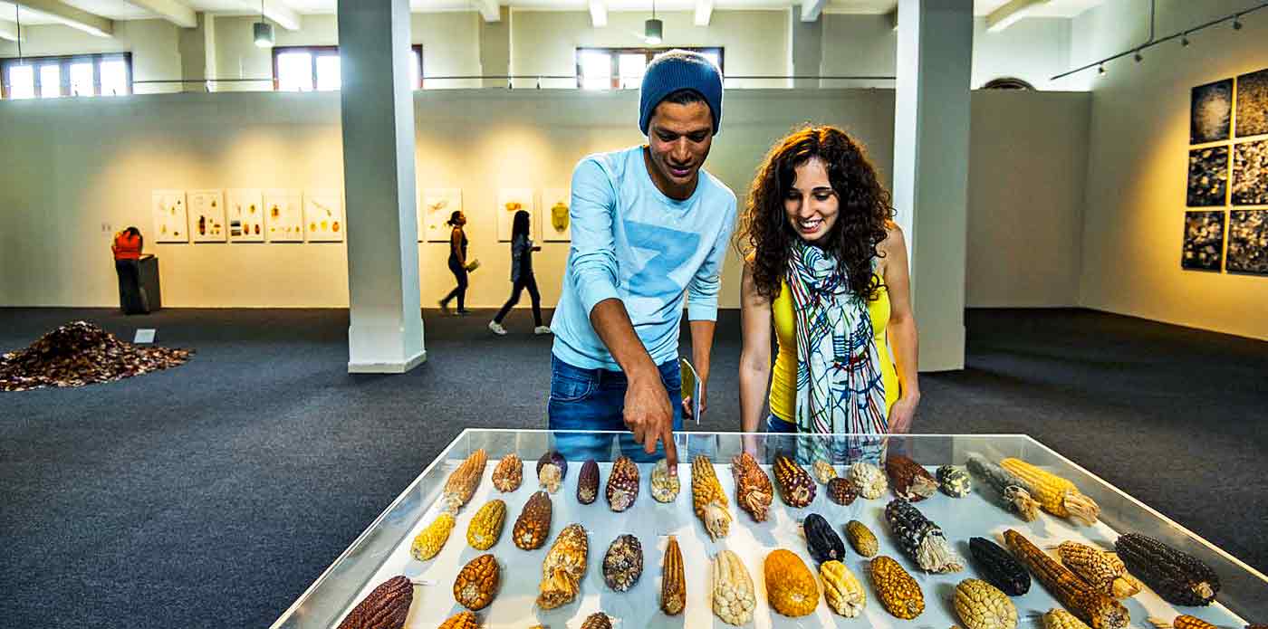 https://www.ytuqueplanes.com/imagenes/¡Redescubre el Centro de Lima visitando estos 10 espacios culturales!