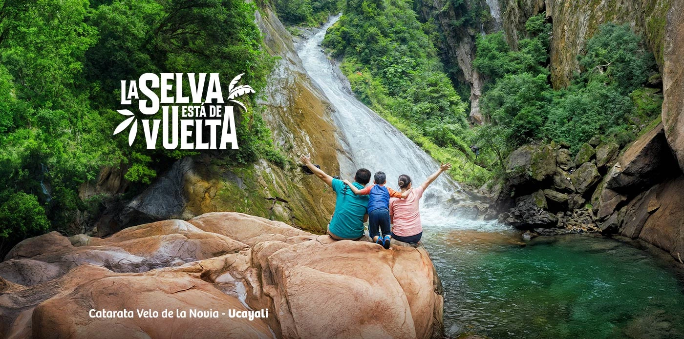 https://www.ytuqueplanes.com/imagenes/¡Cuida la selva durante tu viaje!