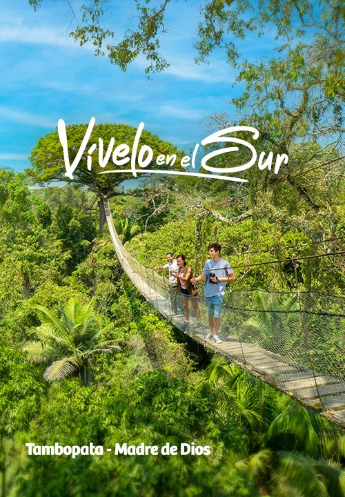 https://www.ytuqueplanes.com/imagenes/Visita la Feria de Viajes "Vívelo en el Sur" y descubre sus maravillas