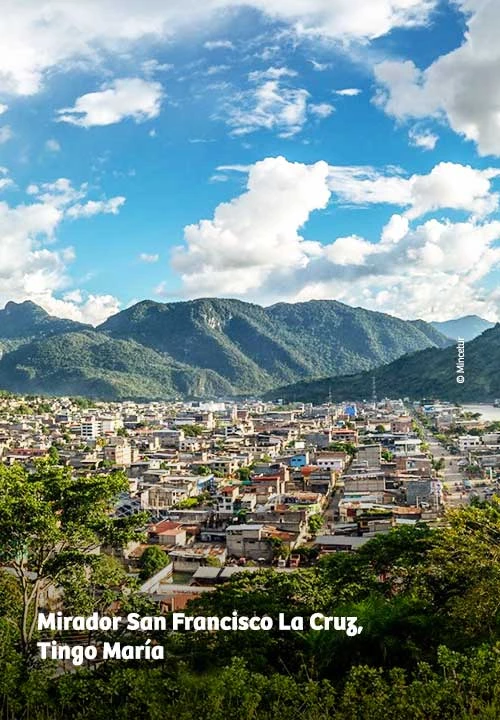 https://www.ytuqueplanes.com/imagenes/Conoce Tingo María desde el Mirador San Francisco La Cruz y sorpréndete con sus fascinantes paisajes.