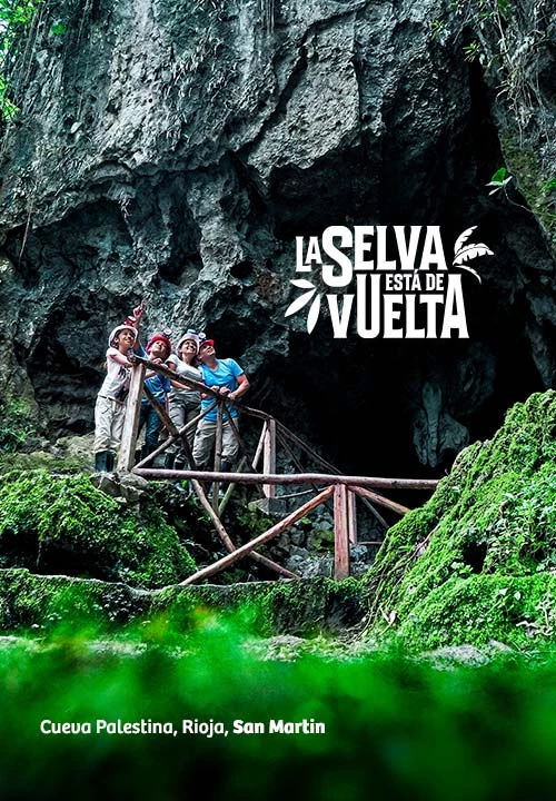 https://www.ytuqueplanes.com/imagenes/¡Tu próxima aventura puede ayudar a proteger la Amazonía!