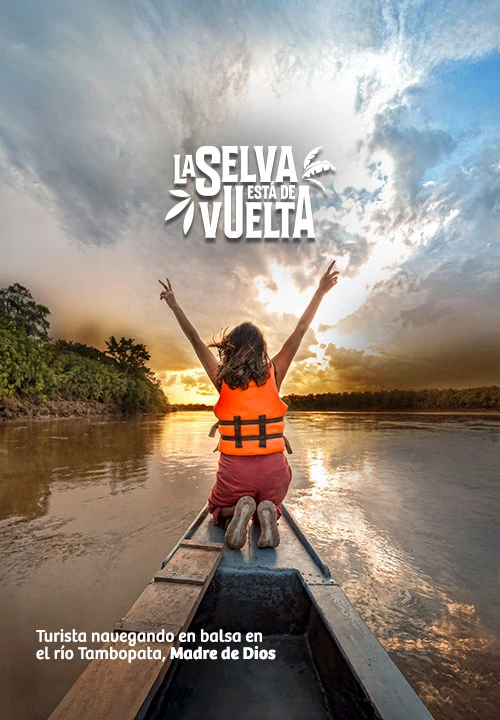https://www.ytuqueplanes.com/imagenes/8 regiones de la selva peruana que te harán amar la naturaleza