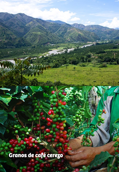 https://www.ytuqueplanes.com/imagenes/Descubre Chanchamayo, paraíso cafetalero y joya natural del Perú