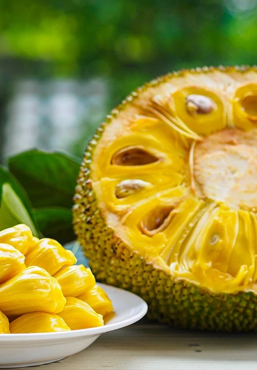 https://www.ytuqueplanes.com/imagenes/Esta es la fruta más grande del mundo: Jackfruit, la joya tropical que encontramos en Satipo