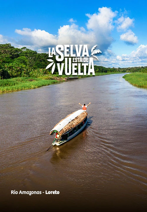 https://www.ytuqueplanes.com/imagenes/¡Conoce los tips esenciales para conquistar la selva!