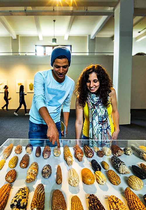 https://www.ytuqueplanes.com/imagenes/¡Redescubre el Centro de Lima visitando estos 10 espacios culturales!