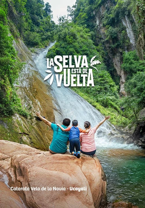 https://www.ytuqueplanes.com/imagenes/¡Cuida la selva durante tu viaje!