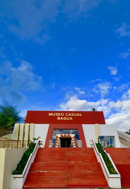 Museo Casual