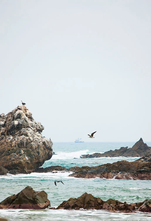 Playa Boca del Río