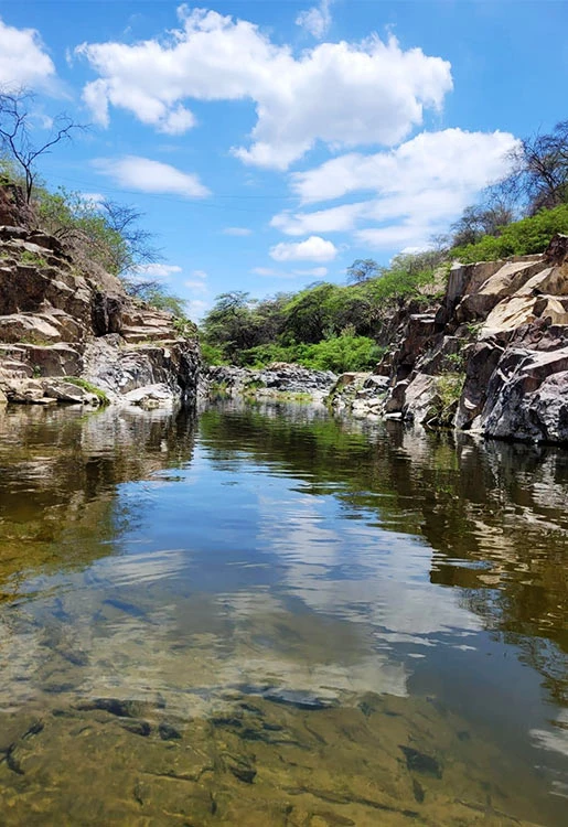 Peroles de Peñarol – Tambogrande