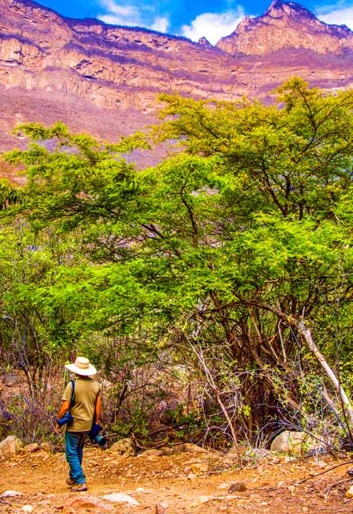 Reserva Ecológica de Chaparri