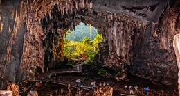 Aniversario del Parque Nacional Tingo María