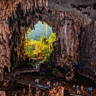 Aniversario del Parque Nacional Tingo María