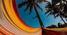 Carnaval de Canoas de Punta Sal