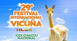 29° Festival Internacional de la Vicuña y XXX Chaccu Nacional 2025