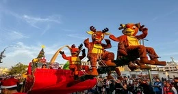 Corso Navideño "Luces mágicas de navidad"