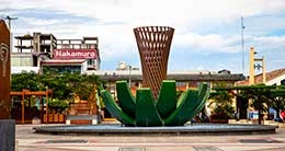 Actividades en el Marco de Celebración por el Día Mundial del Turismo en el destino Tarapoto