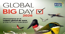 Global Big Day - Pantanos de Villa