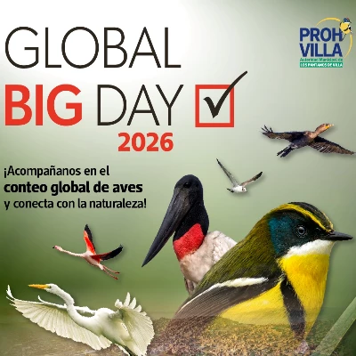 Global Big Day - Pantanos de Villa