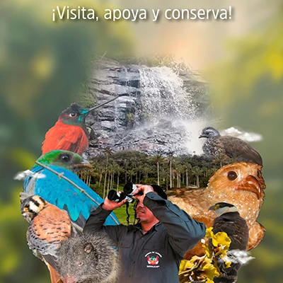 63°Aniversario del Parque Nacional de Cutervo