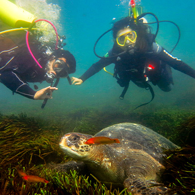 Animales del Perú: vive estas 5 experiencias turísticas que te conectarán con nuestra fauna