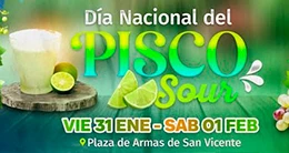 Día del Pisco Sour - Cañete