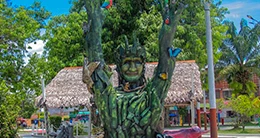 Fiesta Patronal de la Purísima