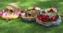 Fiesta de las Almas Benditas