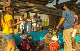 XXVI Ruta de los Lagares