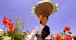 II FESTIVAL DE FLORES DE CHACHAPOYAS CIUDAD JARDÍN: X Floreal y I Feria Internacional de Flores - Bicentenario 2023