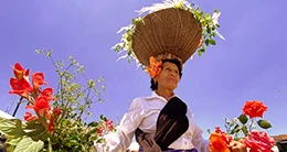 II FESTIVAL DE FLORES DE CHACHAPOYAS CIUDAD JARDÍN: X Floreal y I Feria Internacional de Flores - Bicentenario 2023