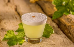 Día Nacional del Pisco Sour 2023 Nasca