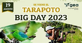 Big Day Tarapoto 2023