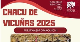Chaccu de Vicuñas 2025