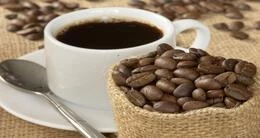 Festival del Café de Villa Rica