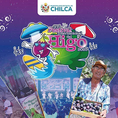 XXXVII Edición del Festival Internacional del Higo