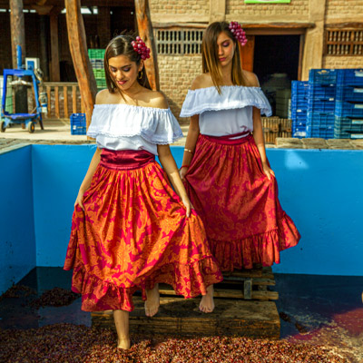LVIII Festival Internacional de la Vendimia Iqueña 2023